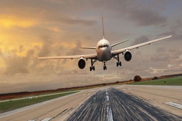 بعد تسببها في حوادث متزايدة.. الطيور هاجس يؤرق الطيارين