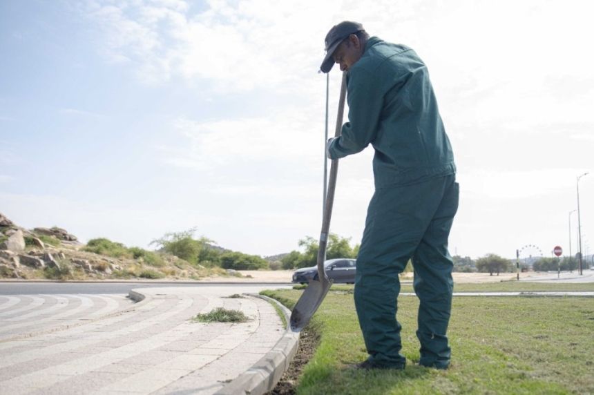 برزاعة 300 موقع.. أمانة الطائف تعزز جهود تحسين المشهد الحضري