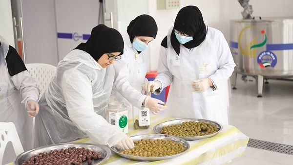 «زايد العليا».. رحلة استثنائية في التمكين والدمج المجتمعي