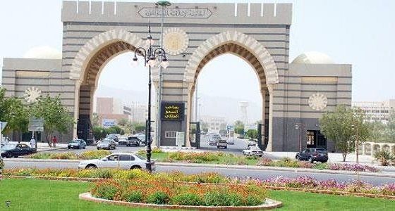 وظائف إدارية شاغرة في هيئة المحتوى
