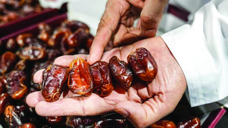 الامارات | تمور الإمارات.. إرث زراعي من آلاف السنين
