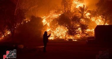 تكنولوجيا: تقرير: غابات الأمازون في البرازيل تشهد أعلى عدد من الحرائق منذ 17 عامًا