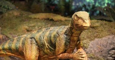 تكنولوجيا: اكتشاف عينة جديدة من ديناصور هابلوكانثوصور النادر منذ 155 مليون سنة