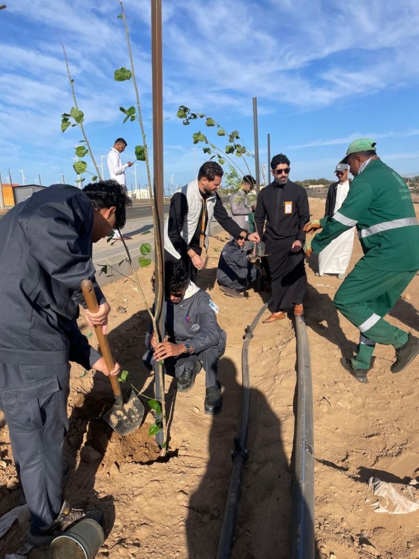بالصور.. 700 شتلة متنوعة تُزين الواجهة البحرية في رابغ