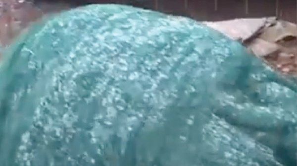 صقيع على قمة جبل جيس في الإمارات