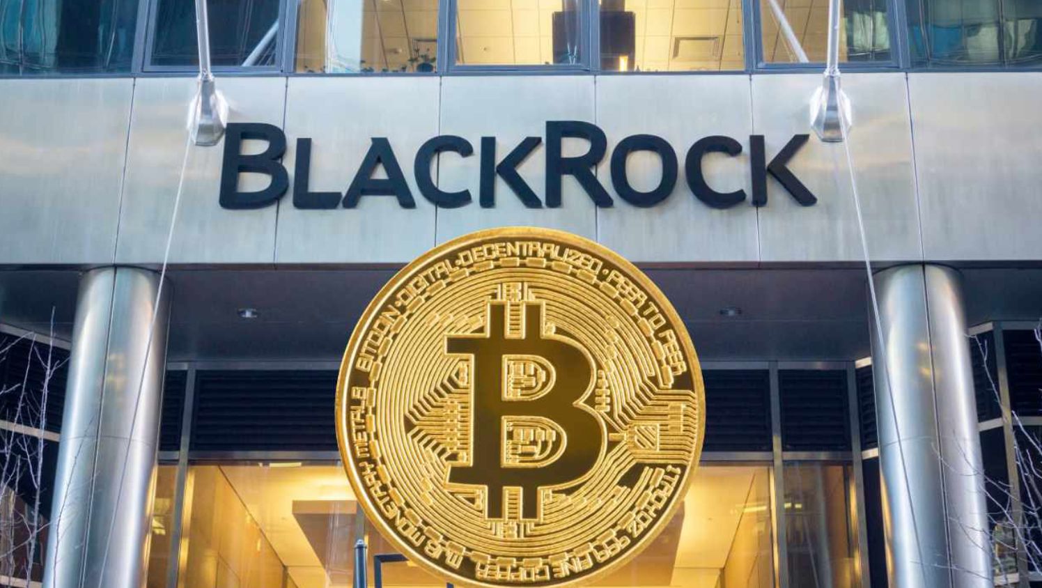 صندوق ETF البيتكوين شركة “بلاك روك” يعاني من تدفقات خارجية قياسية: التفاصيل