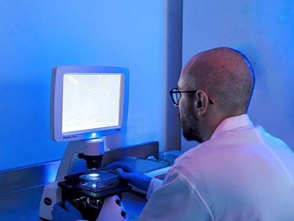 "أبوظبي للخلايا الجذعية" يطور خلايا جذعية متعددة القدرات