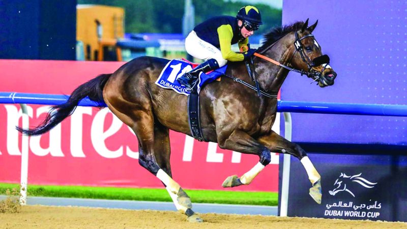الامارات | 87 خيلاً تتنافس في الأمسية السادسة لـ «كرنفال سباقات دبي»