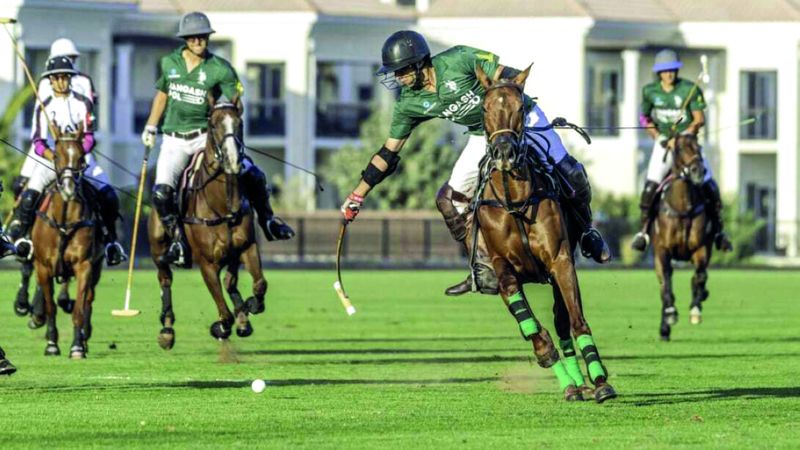 الامارات | 5 فرق تشارك في كأس دبي الفضية للبولو