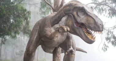 تكنولوجيا: اكتشاف أكبر مسار للديناصورات في المملكة المتحدة مع أكثر من 200 أثر قدم