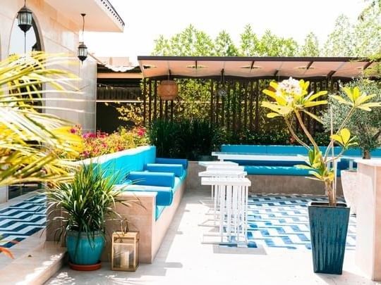 "جائزة عجمان للزراعة 2025" تفتح باب التسجيل