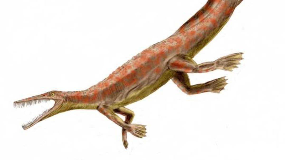 تكنولوجيا: عملاق المحيطات القديم.. اكتشاف ميزوصور ضخم فى الأوروغواي