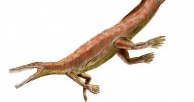 تكنولوجيا: عملاق المحيطات القديم.. اكتشاف ميزوصور ضخم فى الأوروغواي