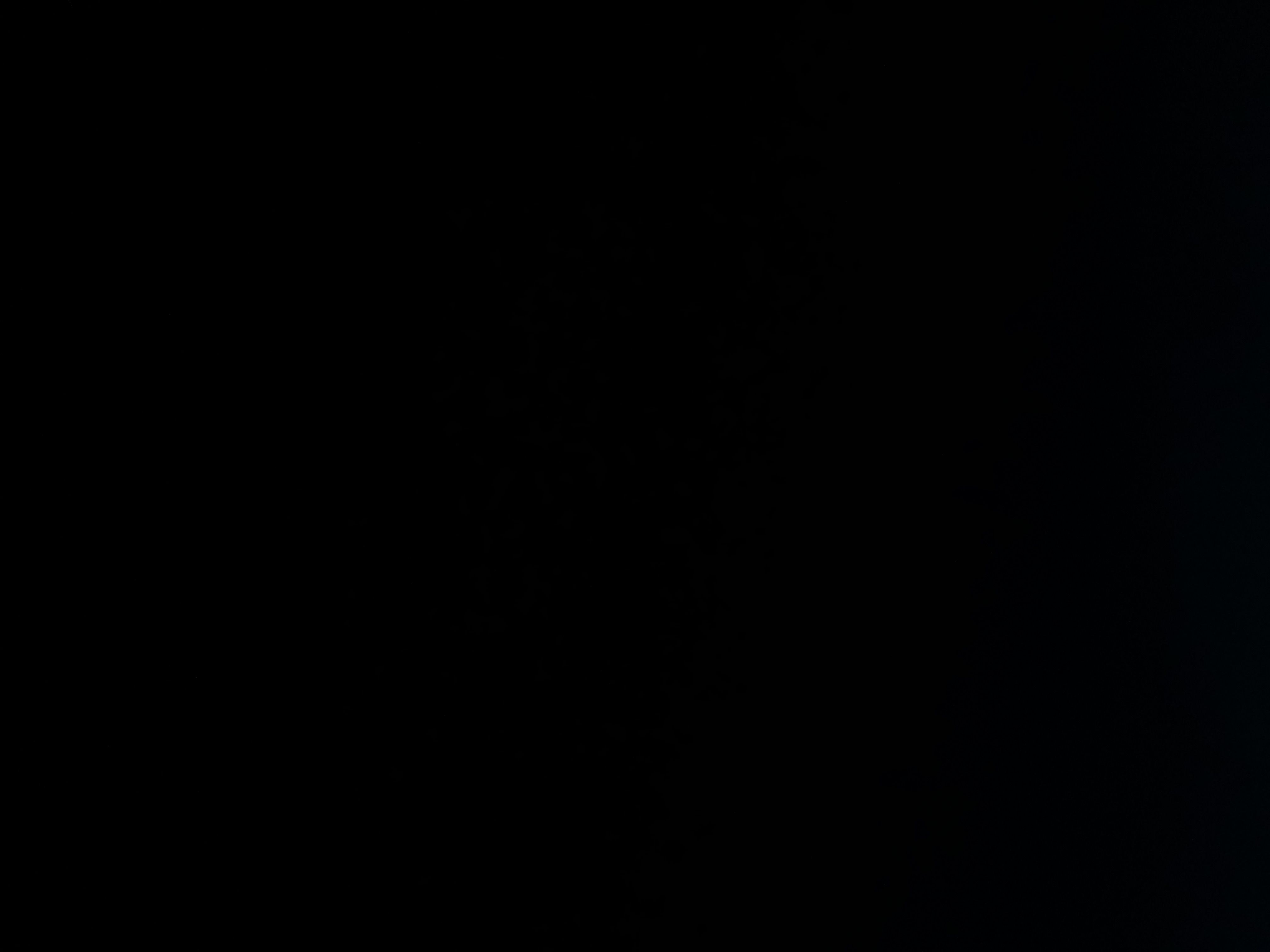 عاجل : السفيرة البريطانية تكشف عن اتفاق دولي للقضاء على الحوثيين