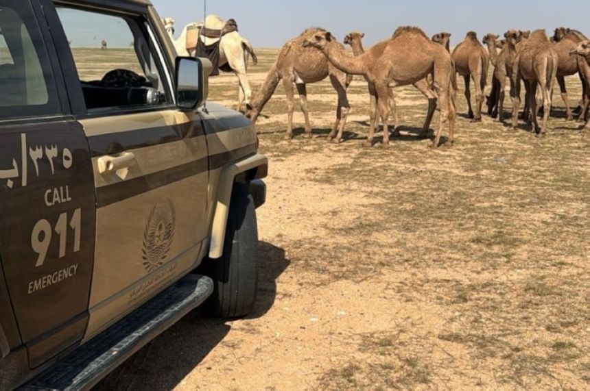 ضبط مواطن ارتكب مخالفة رعي بمحمية الإمام عبدالعزيز بن محمد الملكية