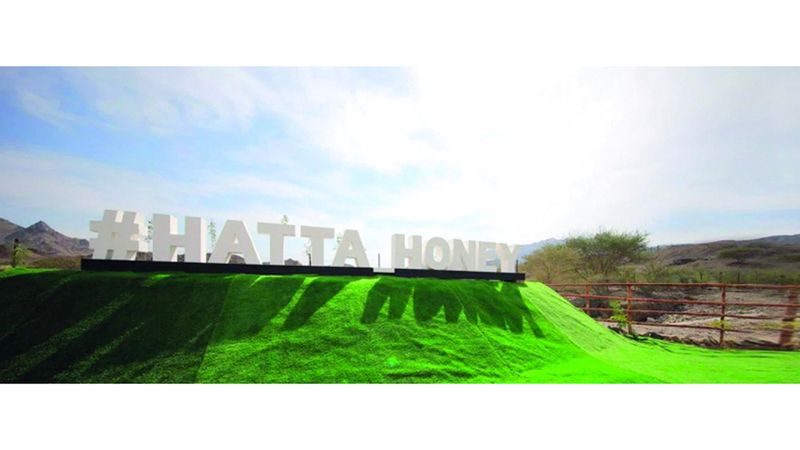 الامارات | «حديقة النحل» سياحة خضراء بحلاوة عسل حتا