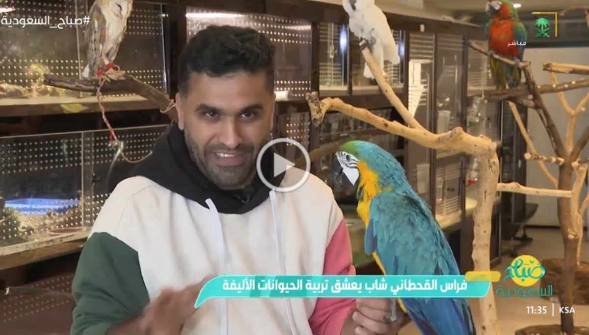 "القحطاني" عاشق الحيوانات يعيش مع 72 ثعبانًا: علَّمتني الصبر والصدق.. وهي علاج نفسي للأطفال