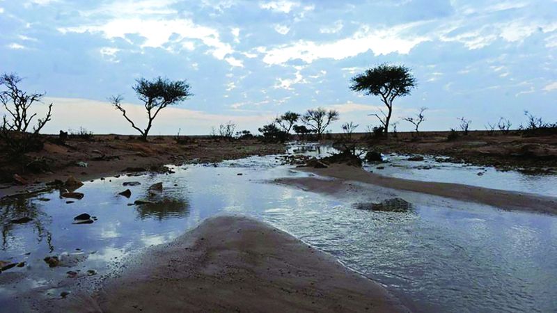 الامارات | «برد الستين » تستمر 10 أيام بين 12 و 24 يناير