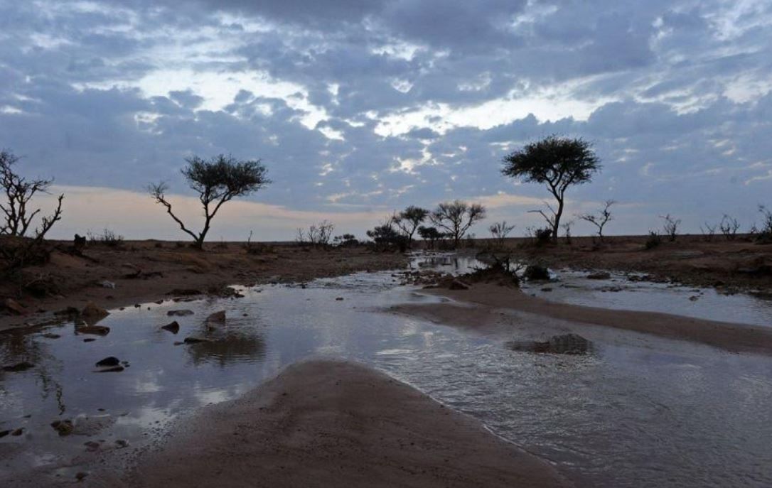 الامارات | «برد الستين».. تعرف إلى بدء ذروة برودة الشتاء