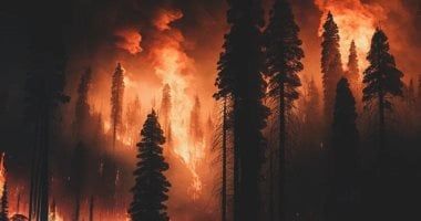 تكنولوجيا: رياح سانتا آنا تشعل حرائق الغابات في لوس أنجلوس وتحرق 13 ألف فدان وتجلى الآلاف