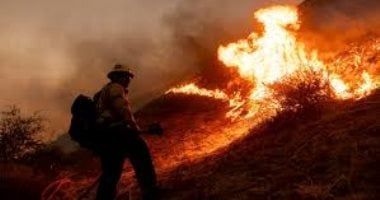 تكنولوجيا: الهواتف الذكية فى لوس أنجلوس تتلقى إنذارا غريبا بسبب حرائق الغابات