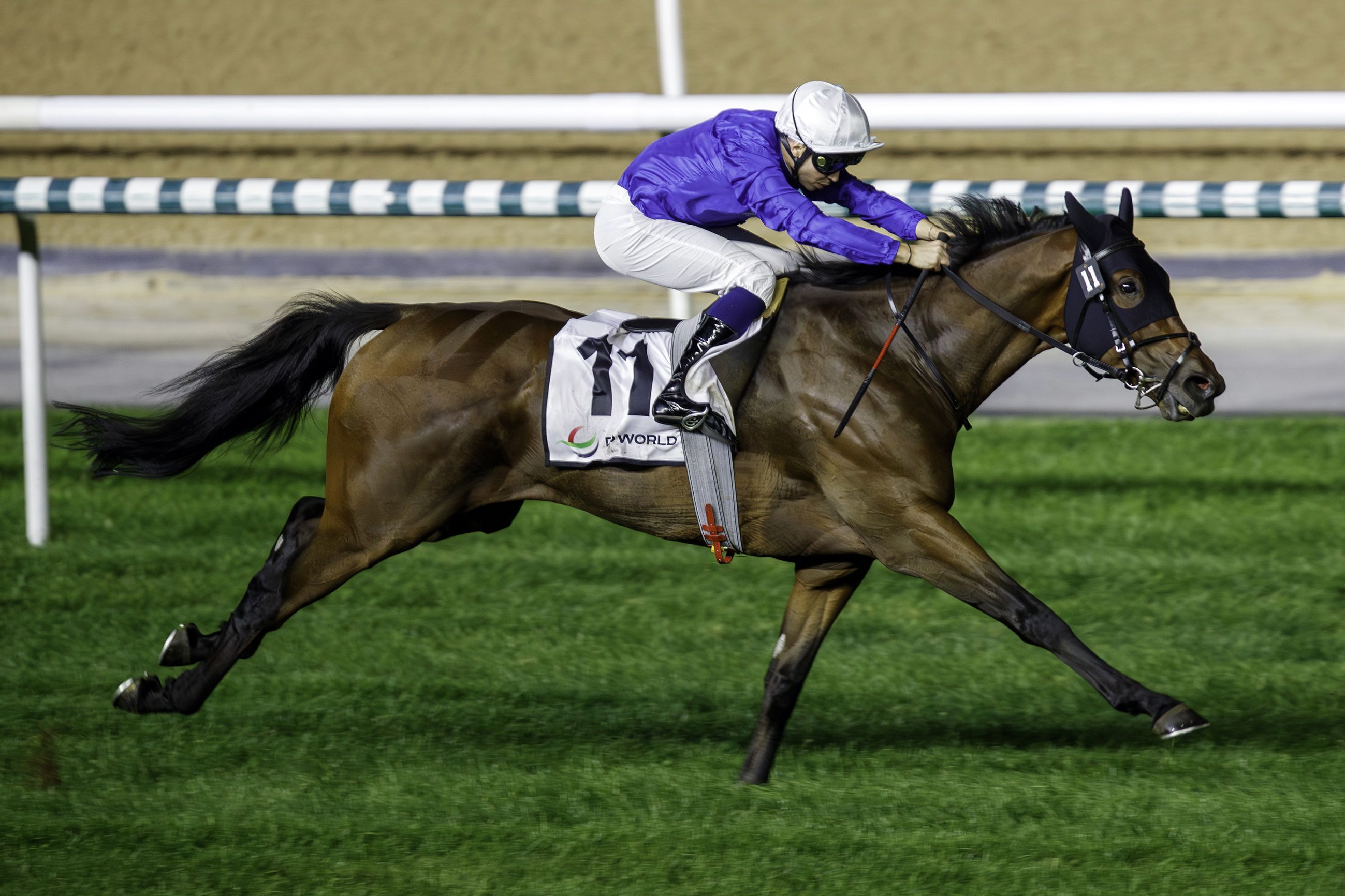 الامارات | «فيرست كونكويست» بطل الشوط الرئيس في الأمسية السابعة لـ«كرنفال سباقات دبي»