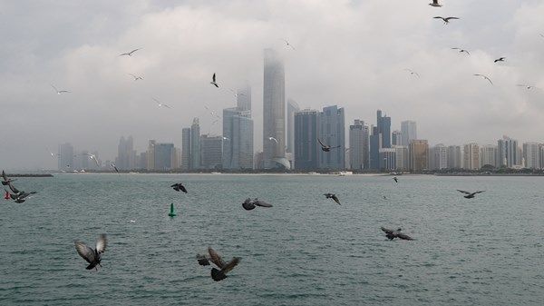 توقعات الطقس ليوم غد