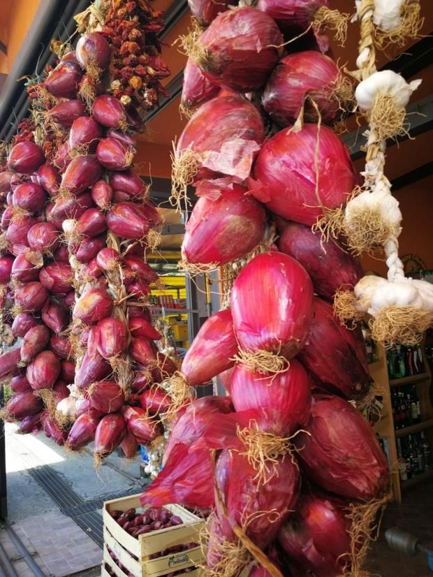 ماذا يحدث للجسم عند تناول البصل الأحمر؟.. 20 فائدة غير متوقعة