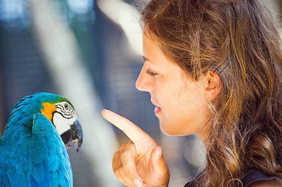 طالع الأبراج: يوم الصديق السرى.. 3 أبراج لديها أصدقاء لا يعرف بهم أحد أبرزهم الحوت