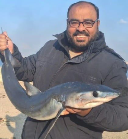 الجوع يدفع أهل قطاع غزة لأكل الدولفين والقرش والاحتلال تنتقد