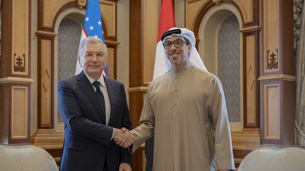 منصور بن زايد ورئيس أوزبكستان يبحثان علاقات التعاون