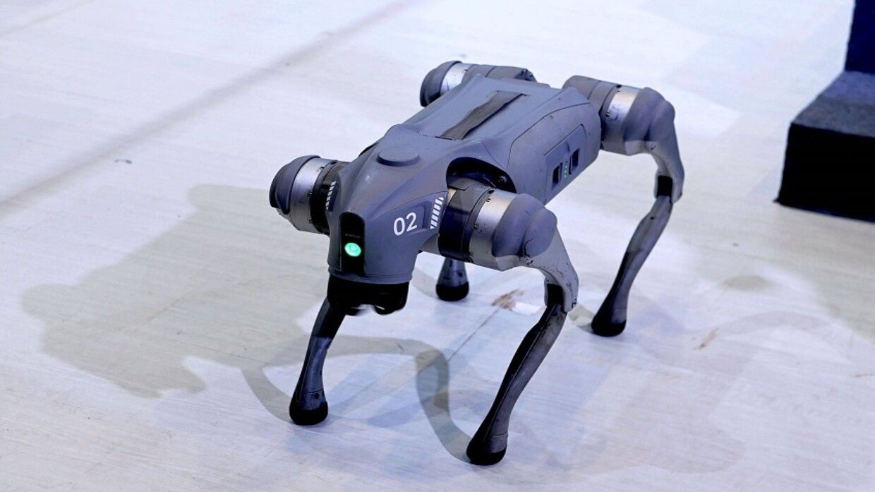 الامارات | الصين تطور أسرع "كلب روبوتي"