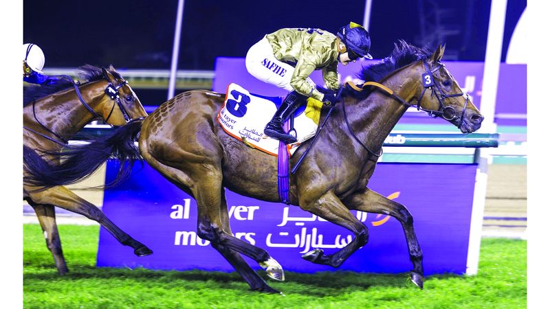 الامارات | 111 خيلاً تتنافس في الأمسية الثامنة لكرنفال سباقات دبي