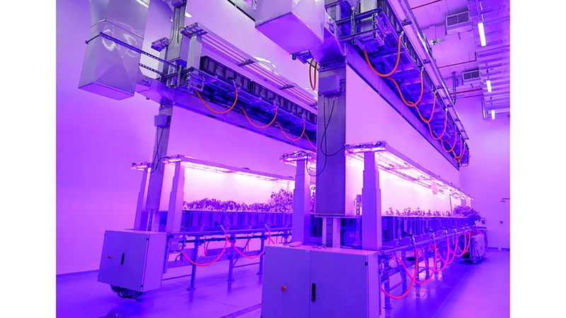 الامارات | «آيروفارمز AgX».. نموذج إماراتي رائد لأكبر مزرعة عمودية في العالم