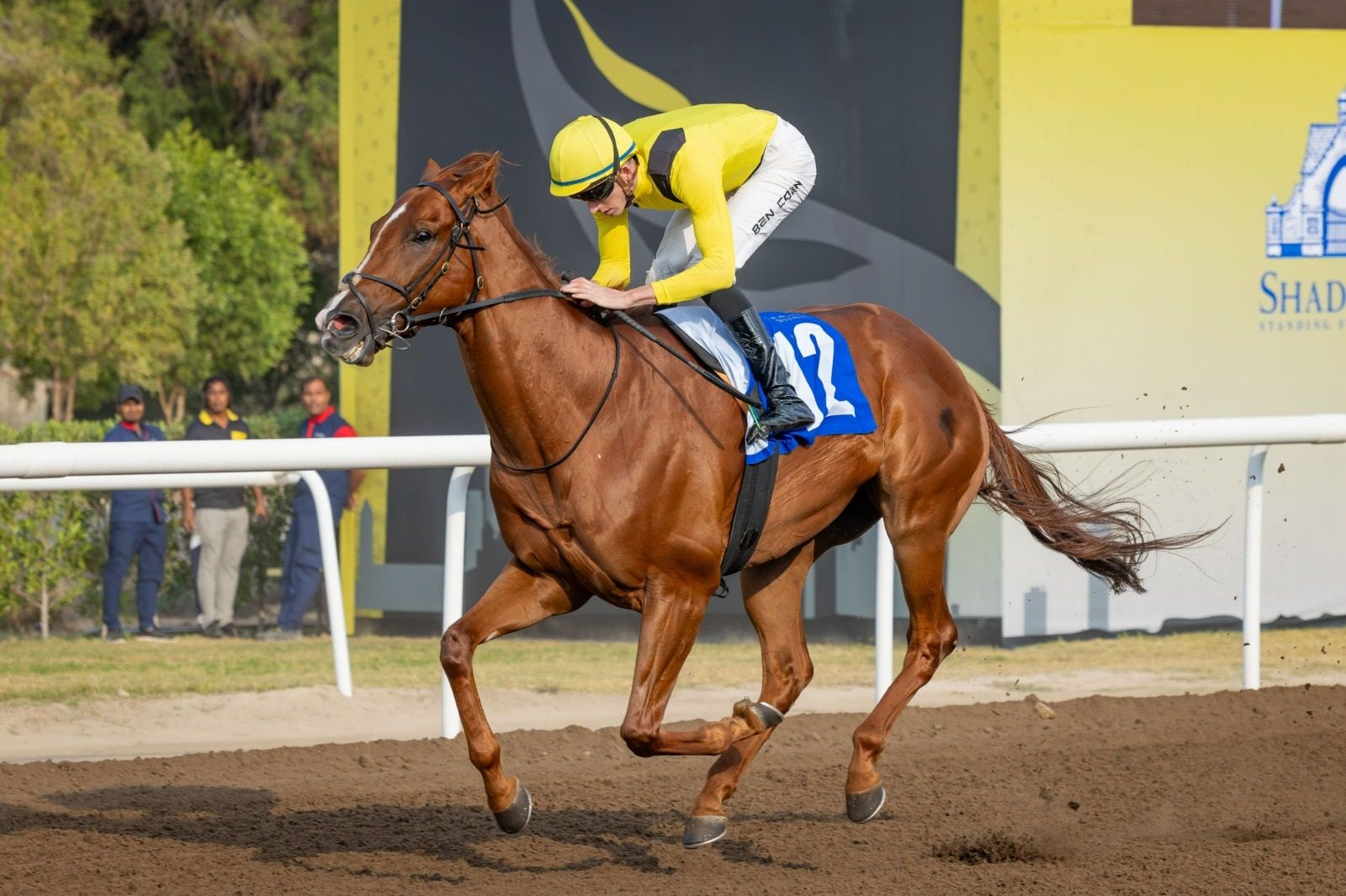 الامارات | "ساداتي" بطل جائزة "تحضيري جبل علي للميل"