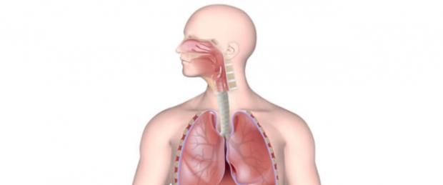 هل الالتهاب الرئوي معدٍ؟.. مسؤول عن وفيات الأطفال على مستوى العالم