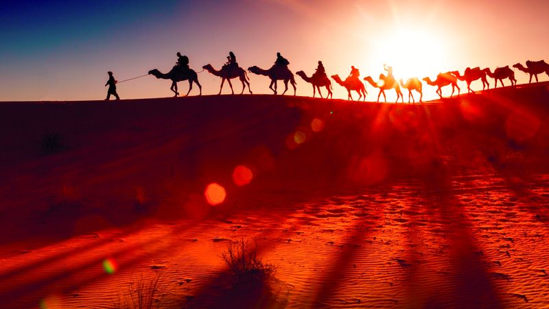 الامارات | الطروش.. قوافل الخير المسافرة للرزق