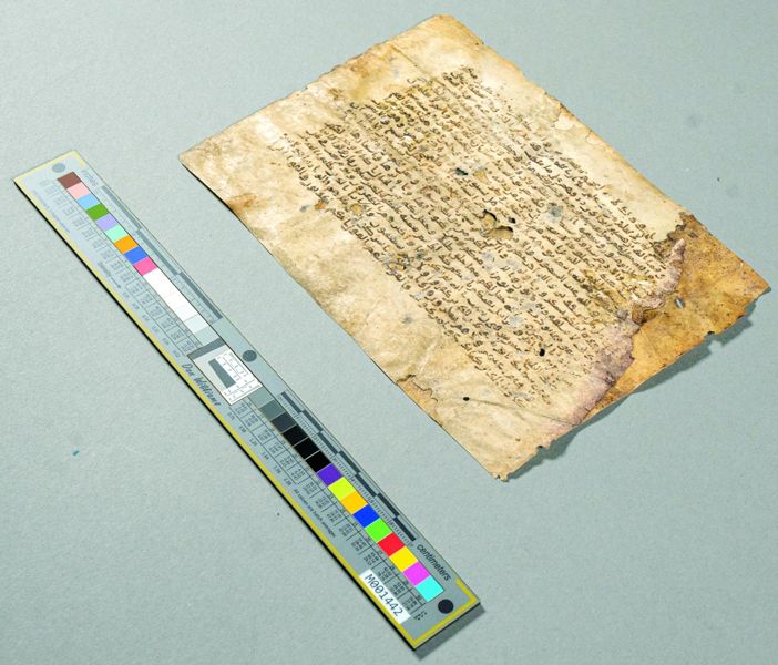 الامارات | فاطمة التميمي.. رحلة شغف بالتاريخ وإعادة بريقه