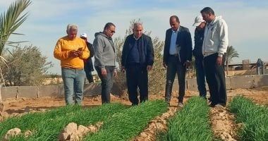 نقيب الزراعيين: إجراء تجارب لزراعة «التين الأملس» فى سيناء لخدمة السياحة البيئية