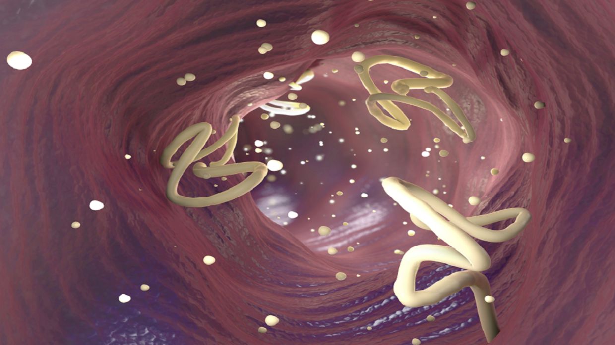 الامارات | "كائنات خطيرة" تغزو جسد رجل!