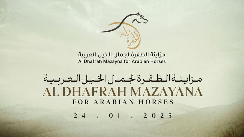 الامارات | 100 خيل في مزاينة جمال الخيول العربية بالظفرة