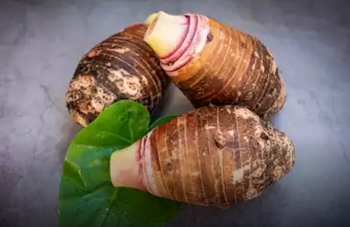 خبير تغذية: هذا الطعام سحري ومفيد للدورة الدموية