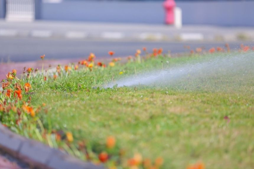 الطائف.. زيادة شبكات ري المسطحات الخضراء بنسبة 15%