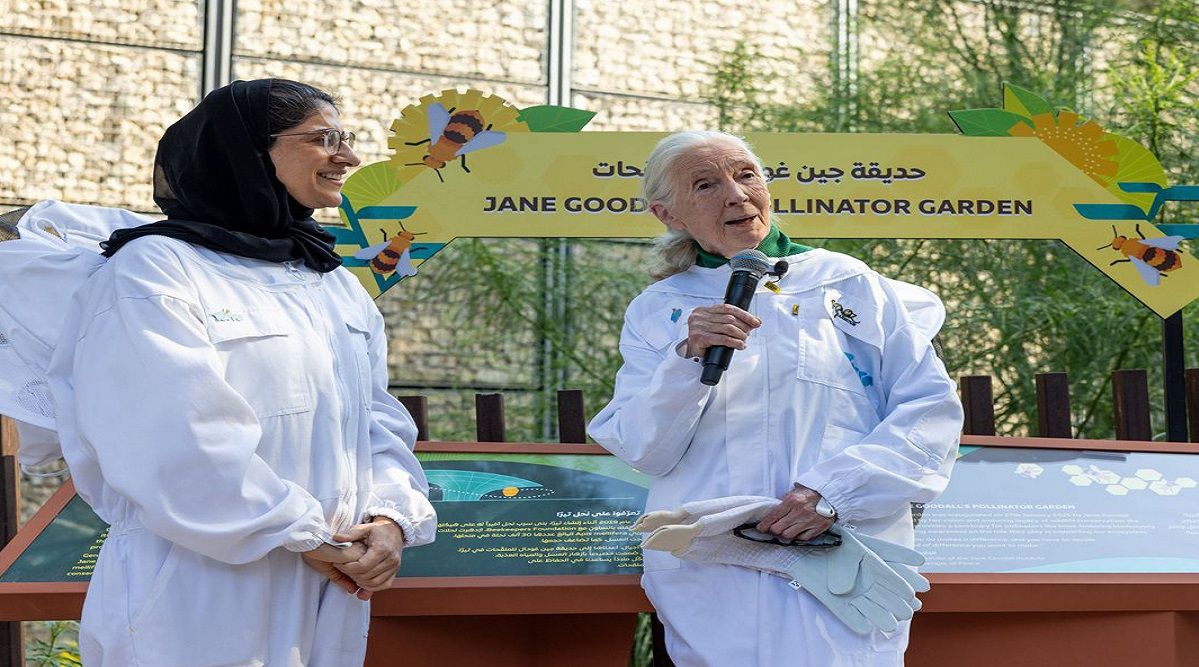 الامارات | مدينة إكسبو دبي تفتتح حديقة الملقّحات في «تيرّا»