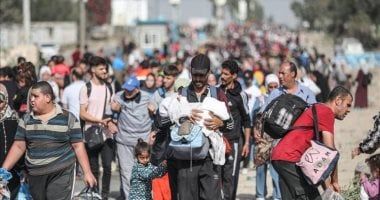 نائب "الوفد" هاني أباظة: نفوض الرئيس السيسي لاتخاذ التدابير اللازمة لحماية الأمن القومي ومنع مخطط التهجير