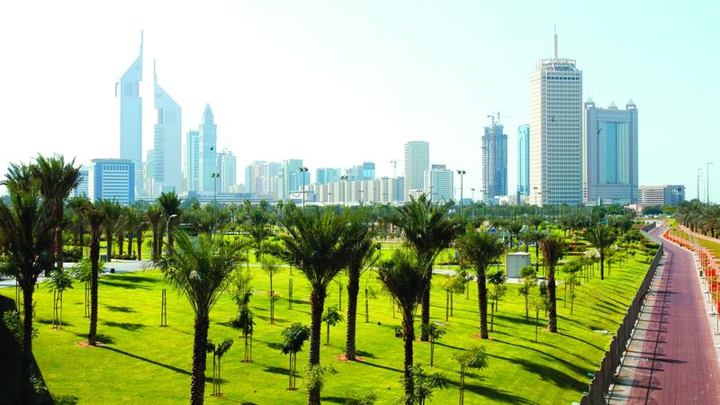 الامارات | دبي تزرع 600 شجرة يومياً خلال 2024