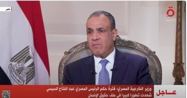 وزير الخارجية: حشد المجتمع الدولى هدف مصر حتىى يقف إلى جانب الشعب الفلسطيني