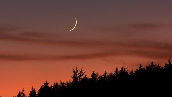 فلكياً.. الجمعة 31 يناير غرة شهر شعبان