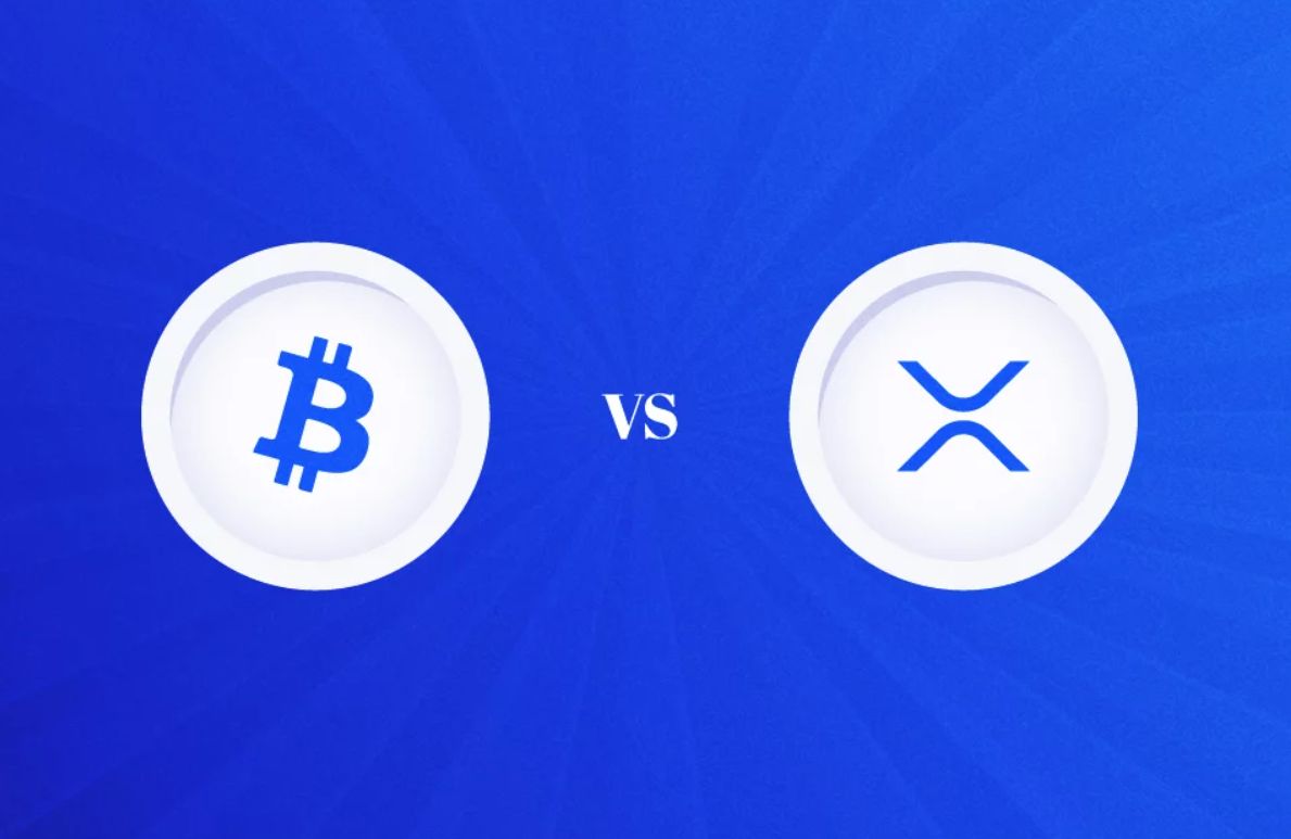 الرئيس التنفيذي لشركة الريبل يدافع عن XRP وسط الانتقادات اللاذعة الموجهة لها