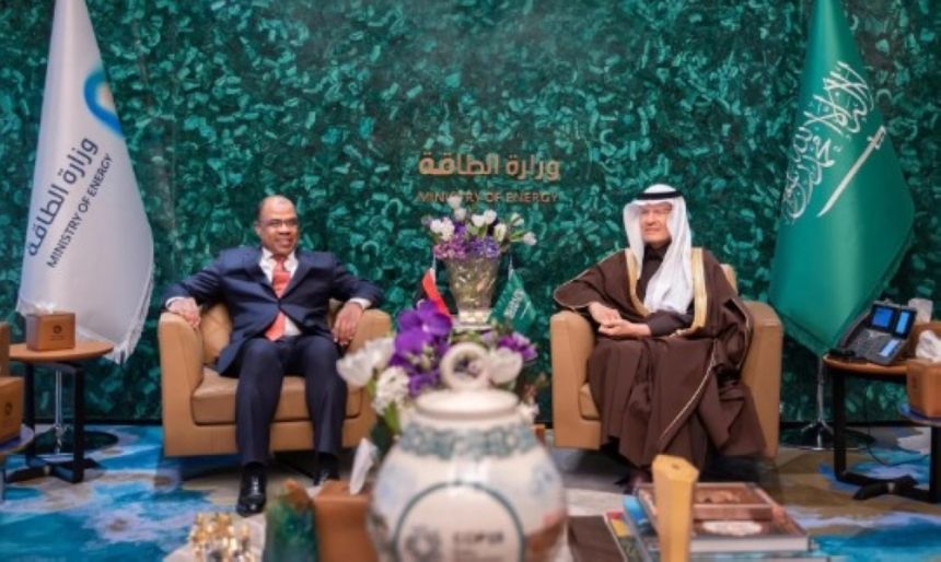 صور.. وزير الطاقة يناقش تعزيز التعاون مع عدد من المسؤولين